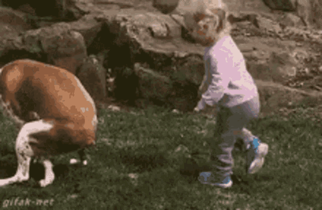 IMG_0043.gif