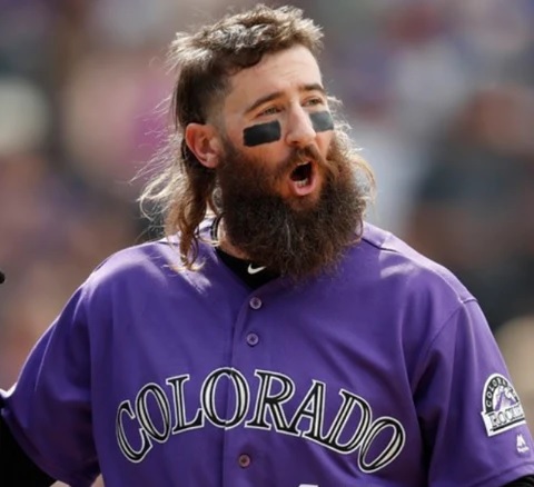 The Mullet.jpg
