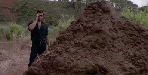Shit1.gif