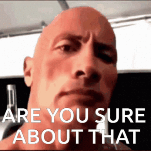 AreYouSureAboutThatTheRockGIF.gif