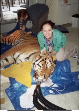 Niece with a Tiger.jpg