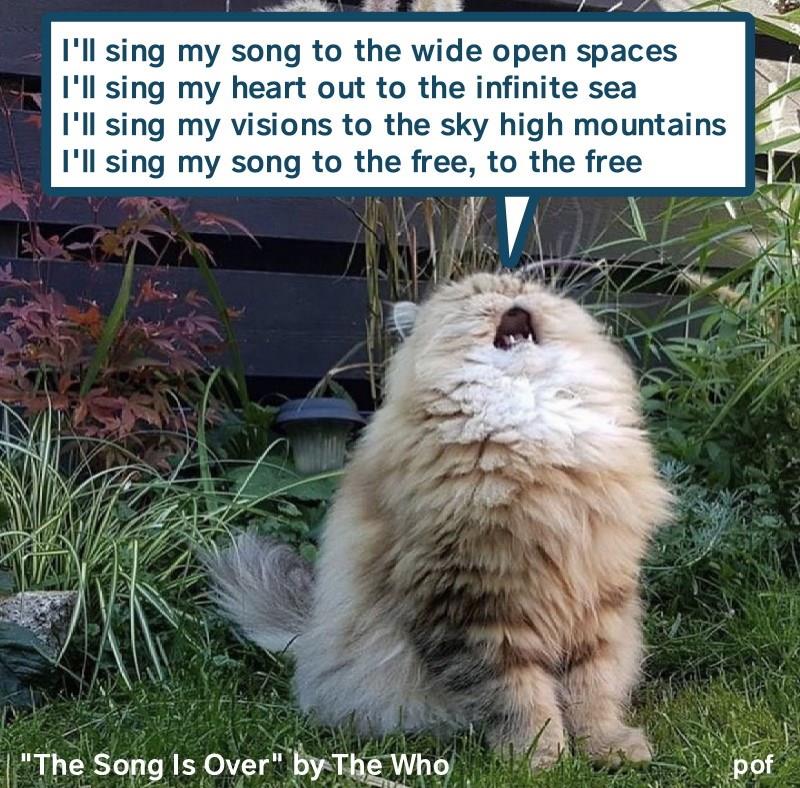 The Song is OVER.jpg